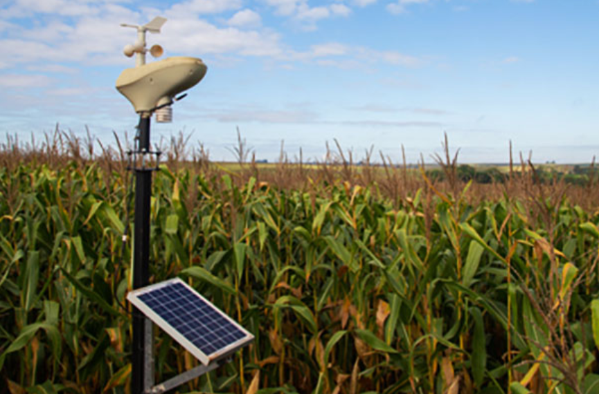 Tecnologia de Sensores Inteligentes na Pecuária de Precisão para 2026